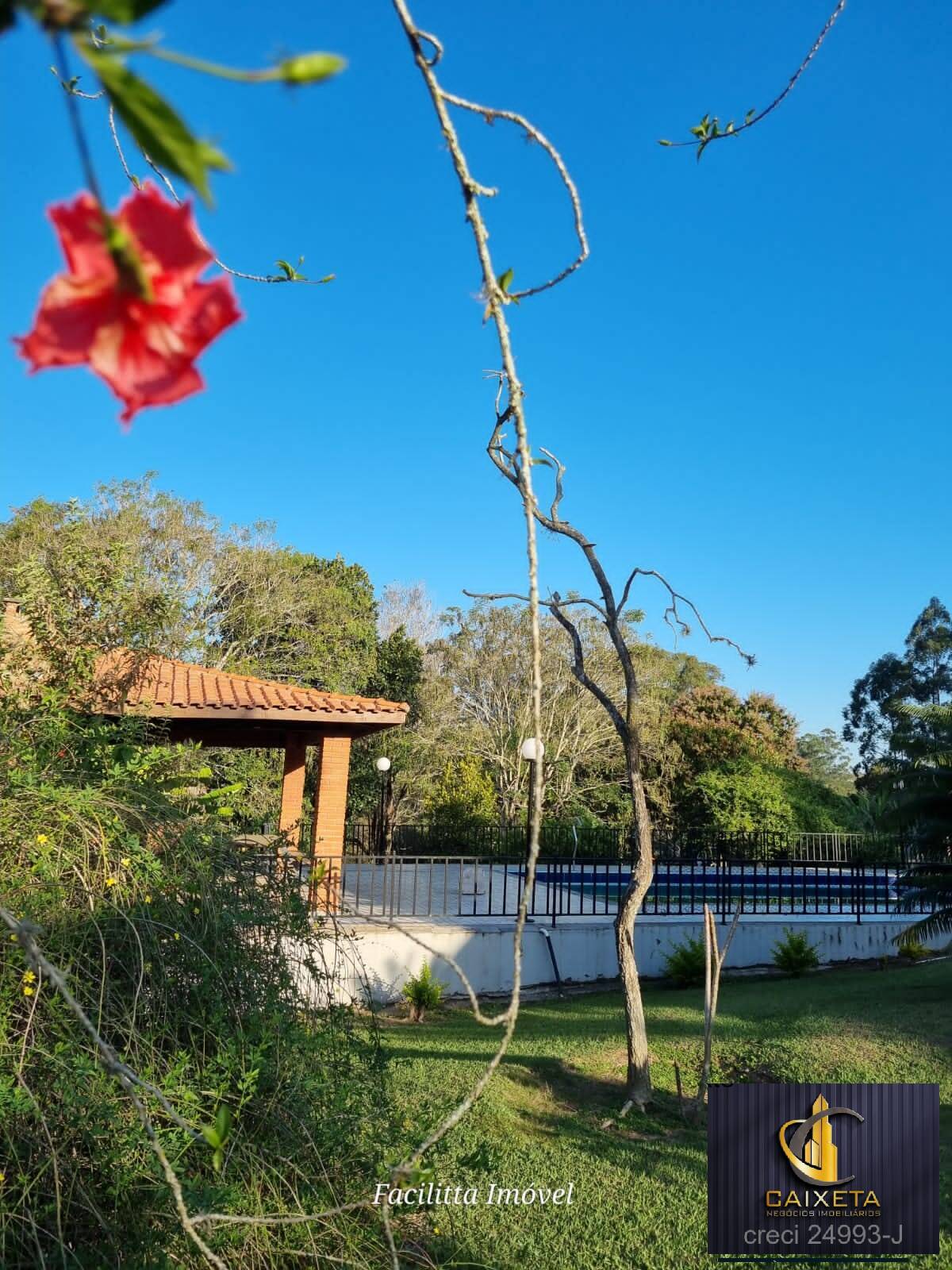 Chácara à venda com 4 quartos, 12000m² - Foto 17