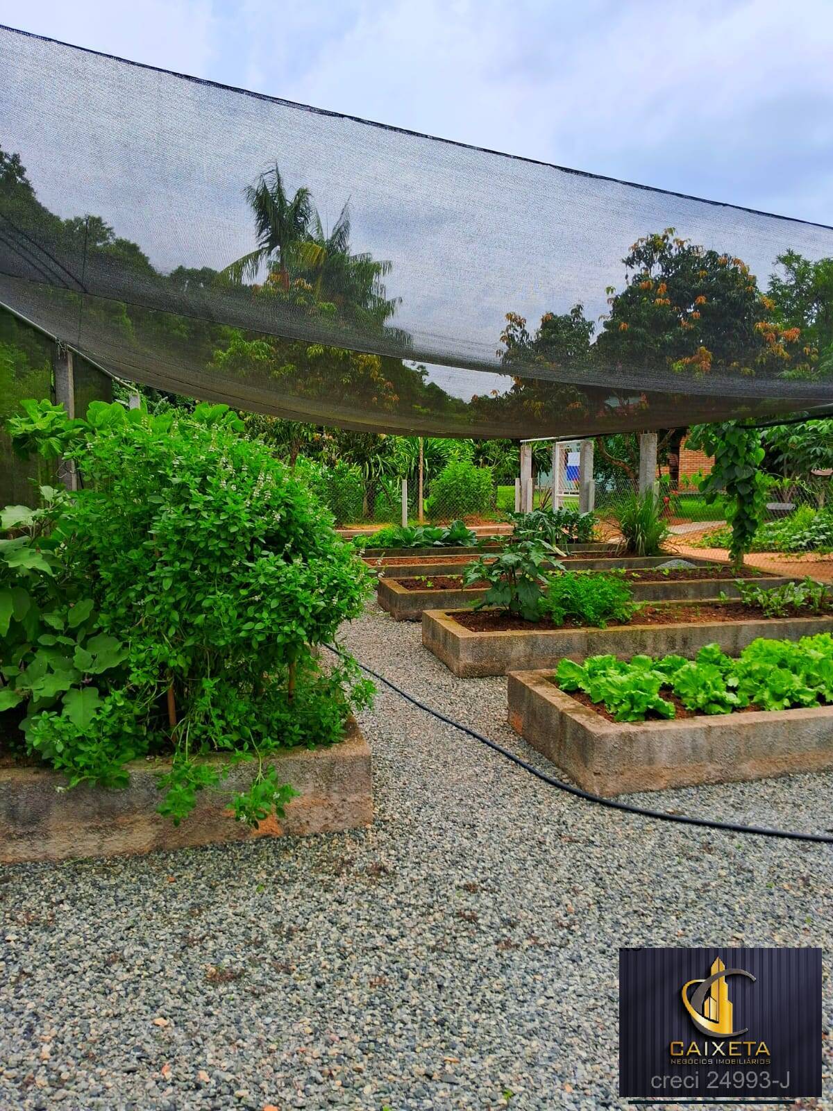 Sítio, 4 quartos, 2 hectares - Foto 25