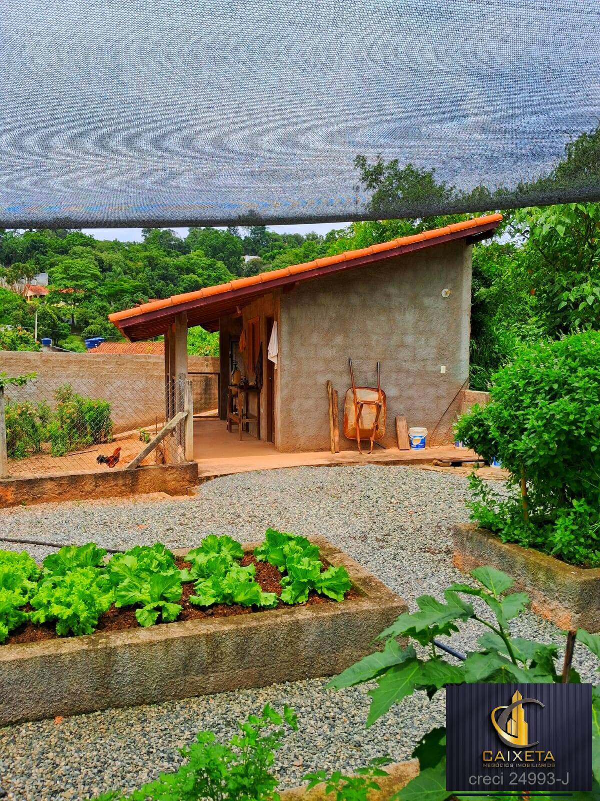 Sítio, 4 quartos, 2 hectares - Foto 29