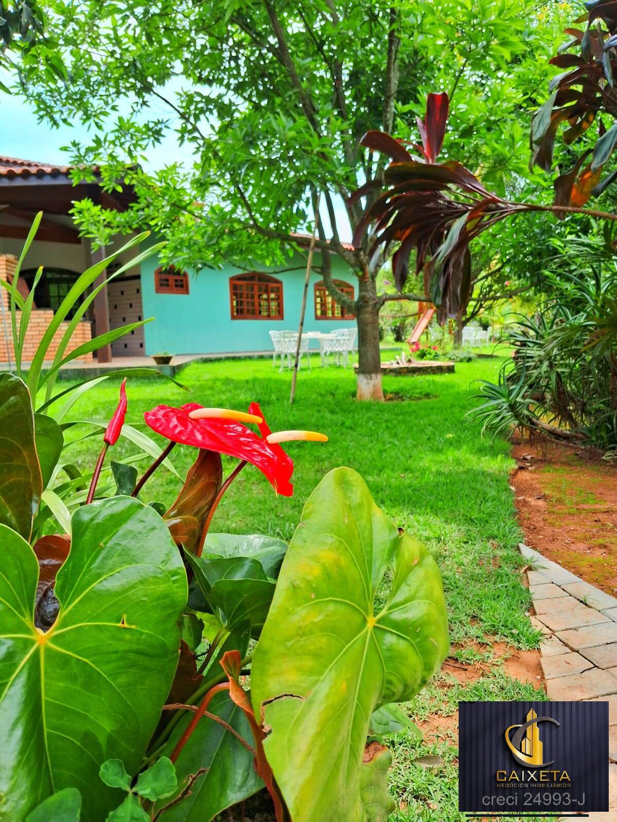 Sítio, 4 quartos, 2 hectares - Foto 10