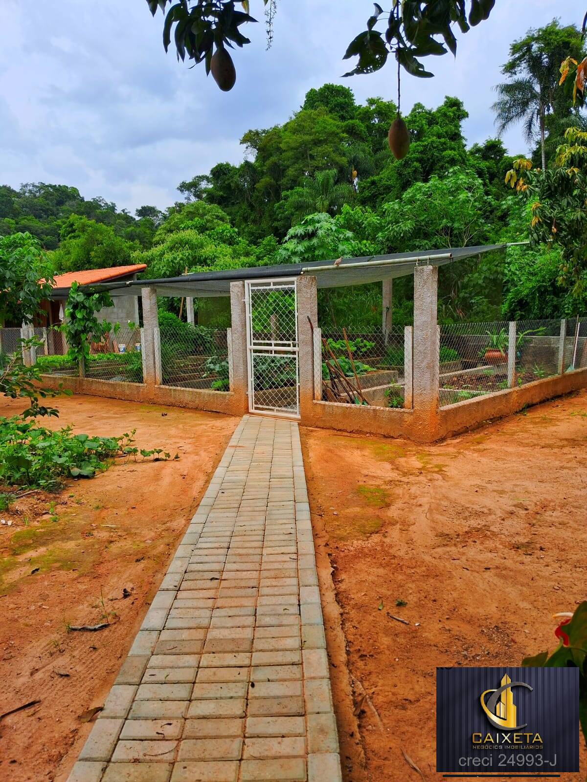 Sítio, 4 quartos, 2 hectares - Foto 31