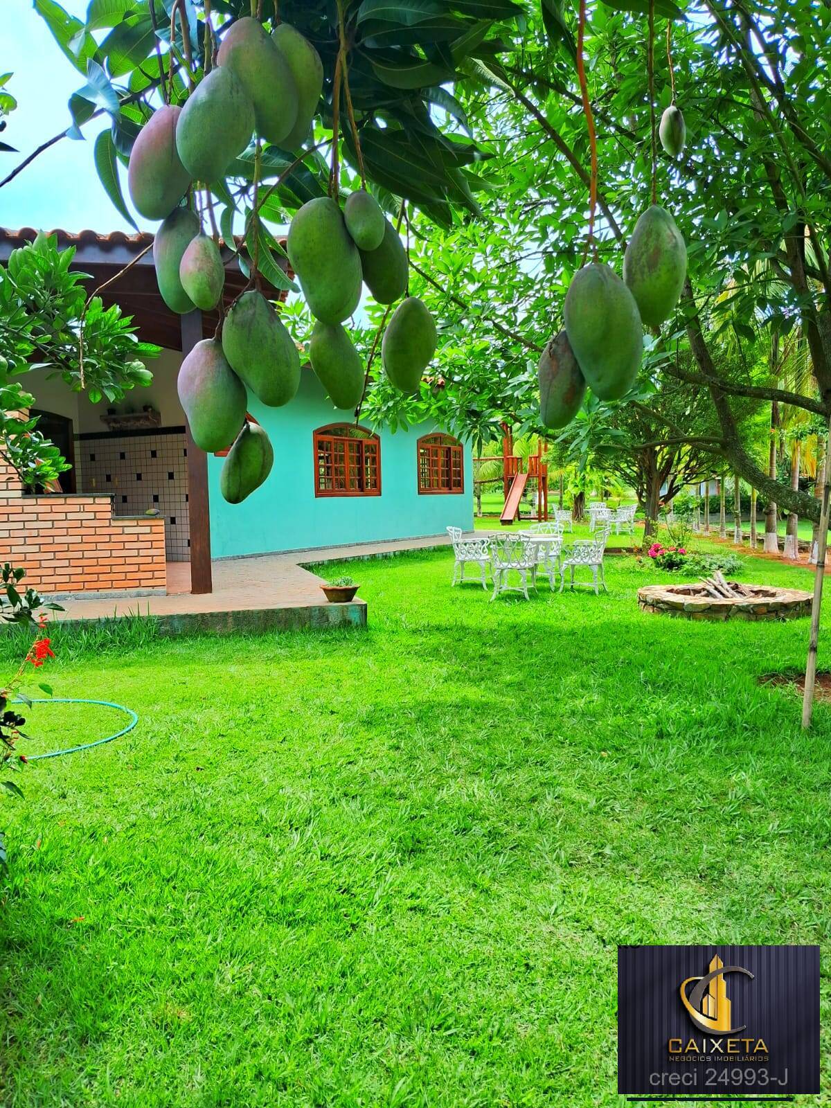Sítio, 4 quartos, 2 hectares - Foto 21