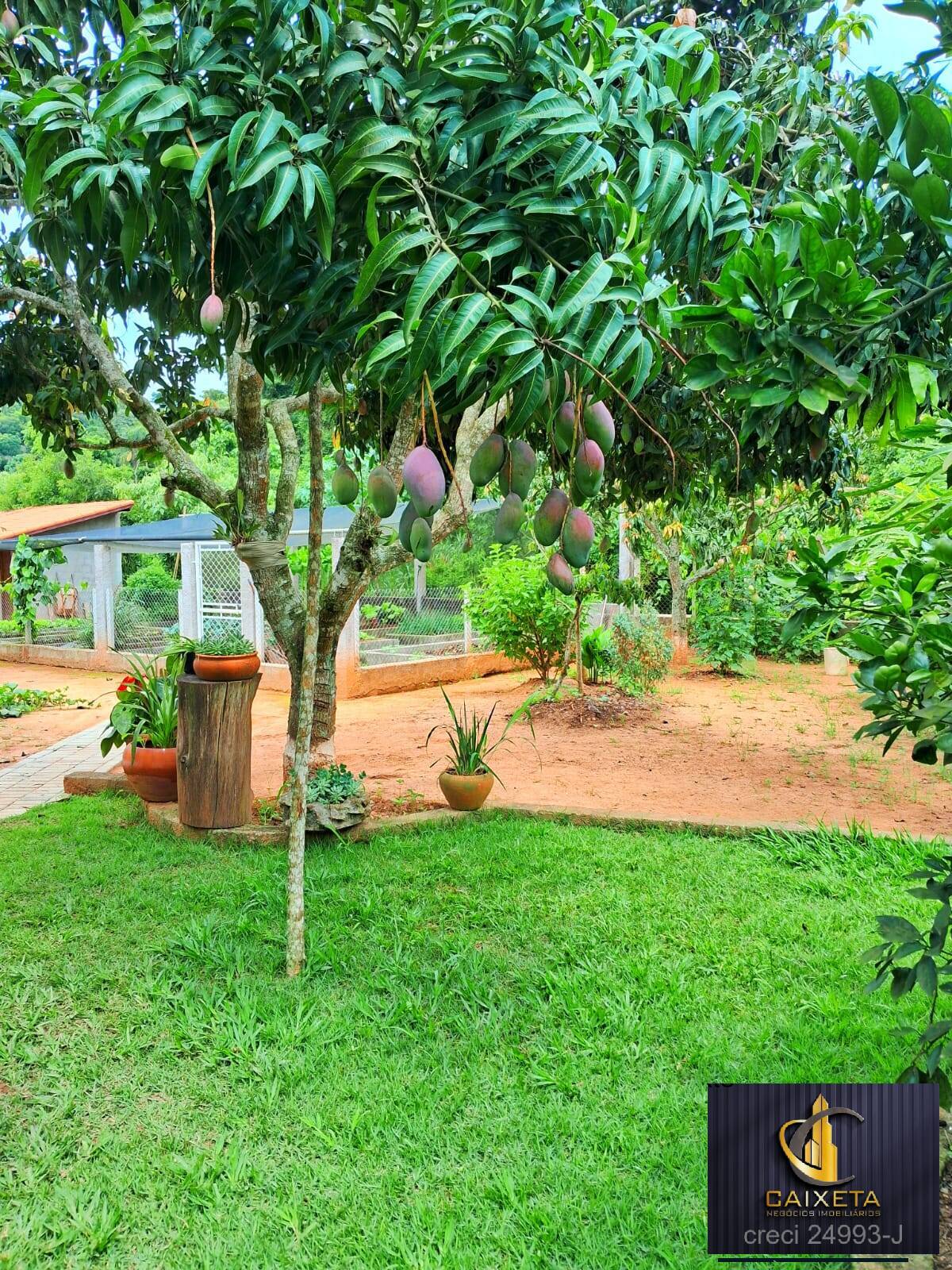 Sítio, 4 quartos, 2 hectares - Foto 24
