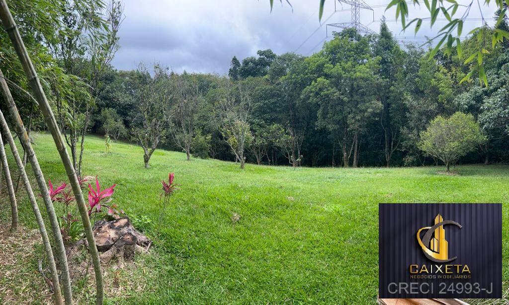 Chácara à venda com 6 quartos, 300m² - Foto 39