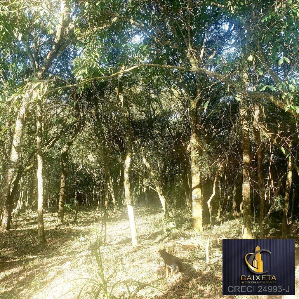 Chácara à venda com 6 quartos, 300m² - Foto 49