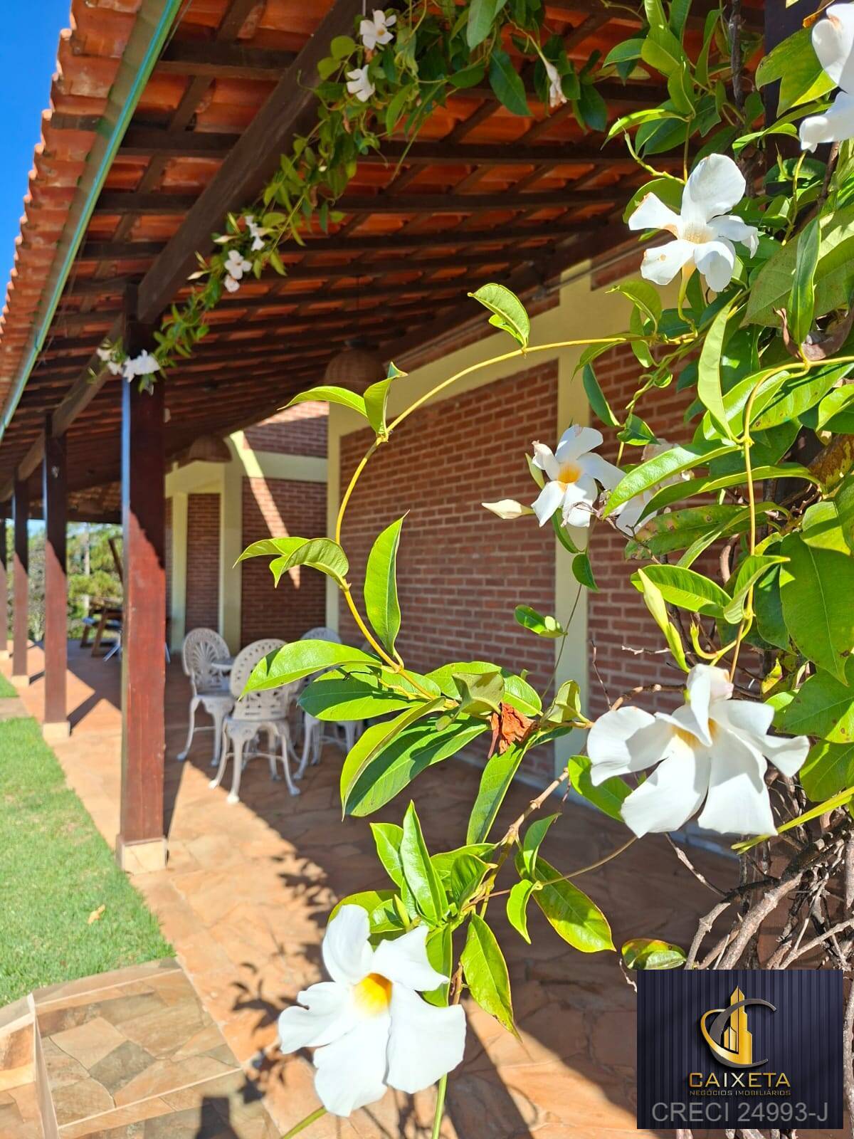 Sítio, 9 quartos, 3500 m² - Foto 49