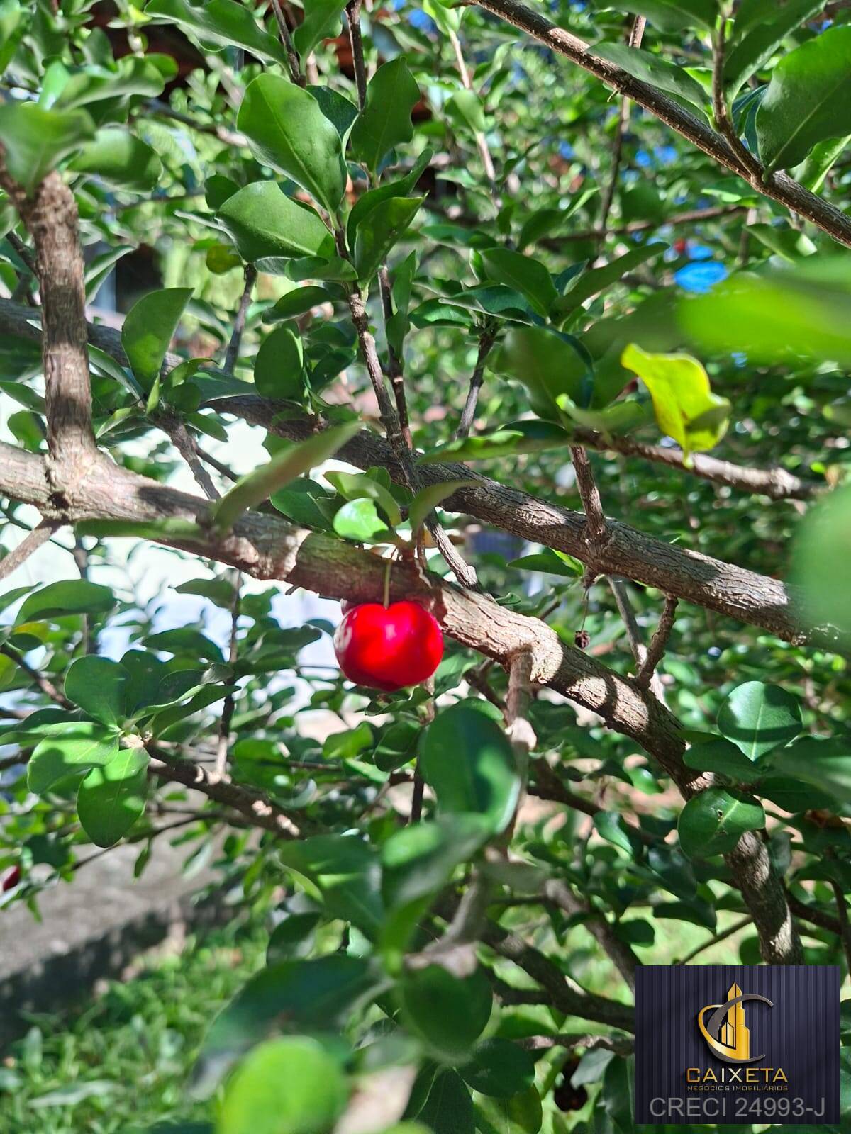 Sítio, 9 quartos, 3500 m² - Foto 63