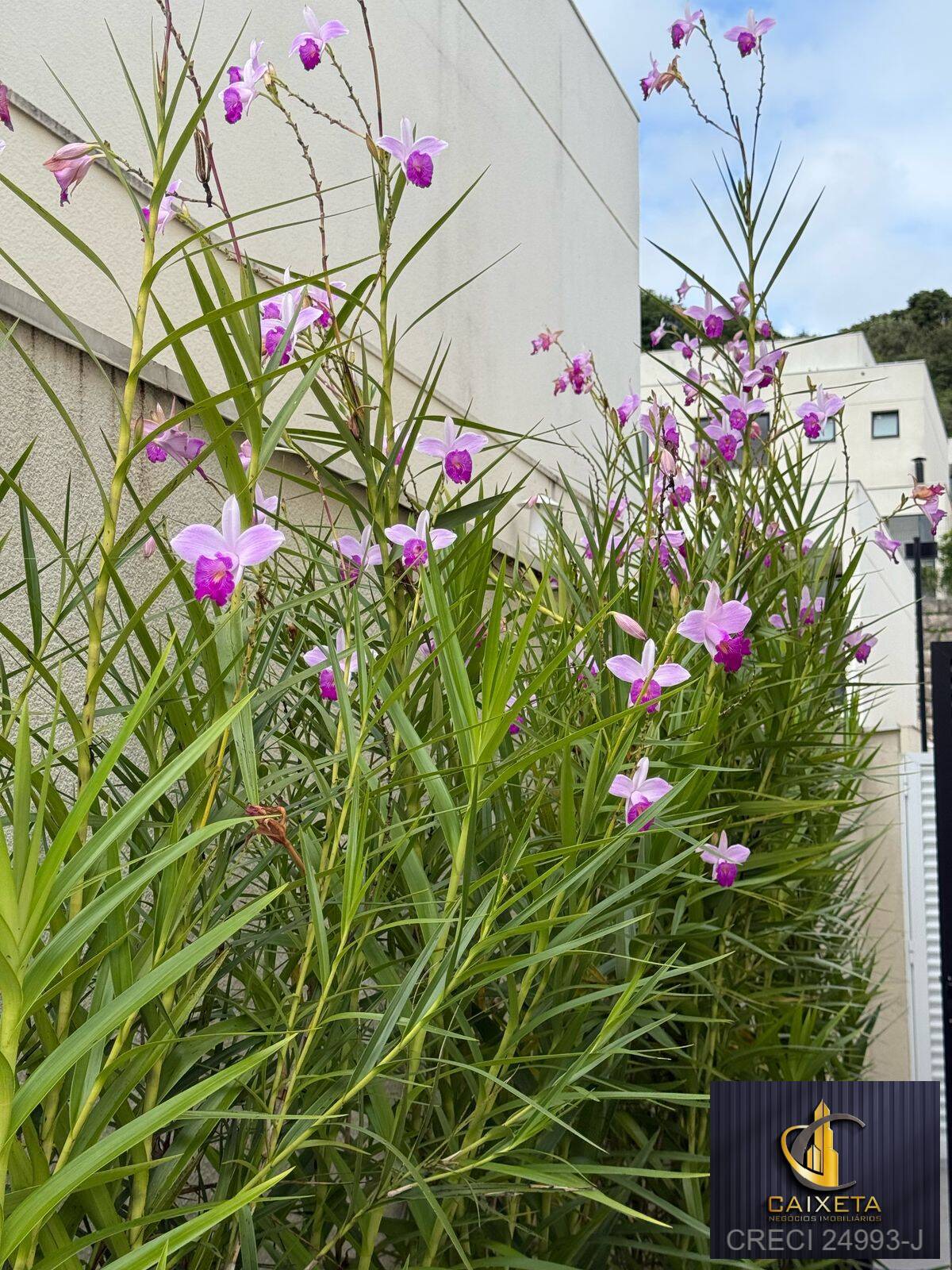 Casa, 3 quartos, 152 m² - Foto 14