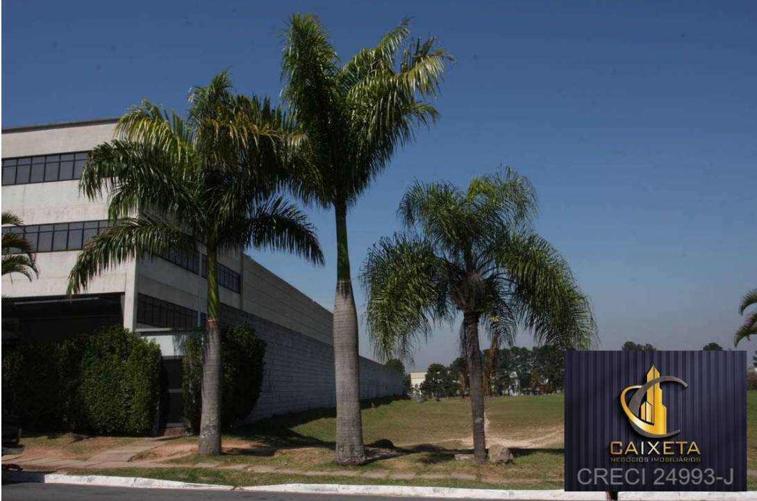 Terreno, 3 hectares - Foto 3