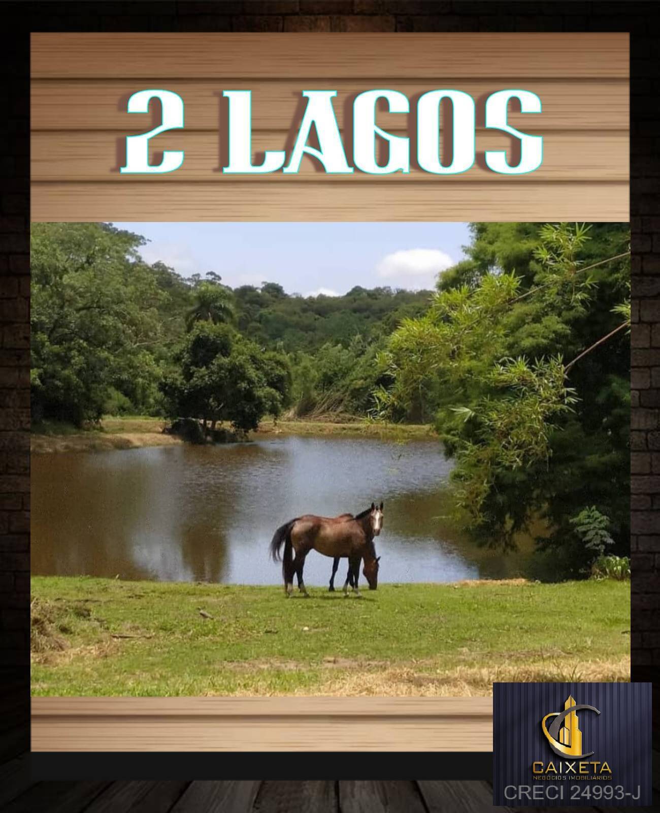 Haras para Venda em São Roque - 1