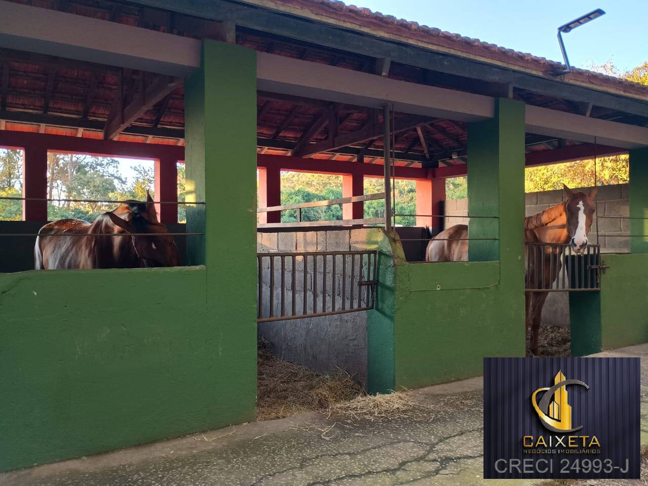 Haras para Venda em São Roque - 10