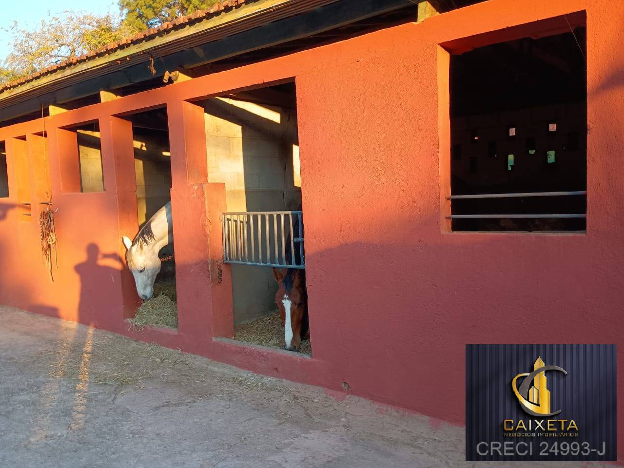 Haras para Venda em São Roque - 11