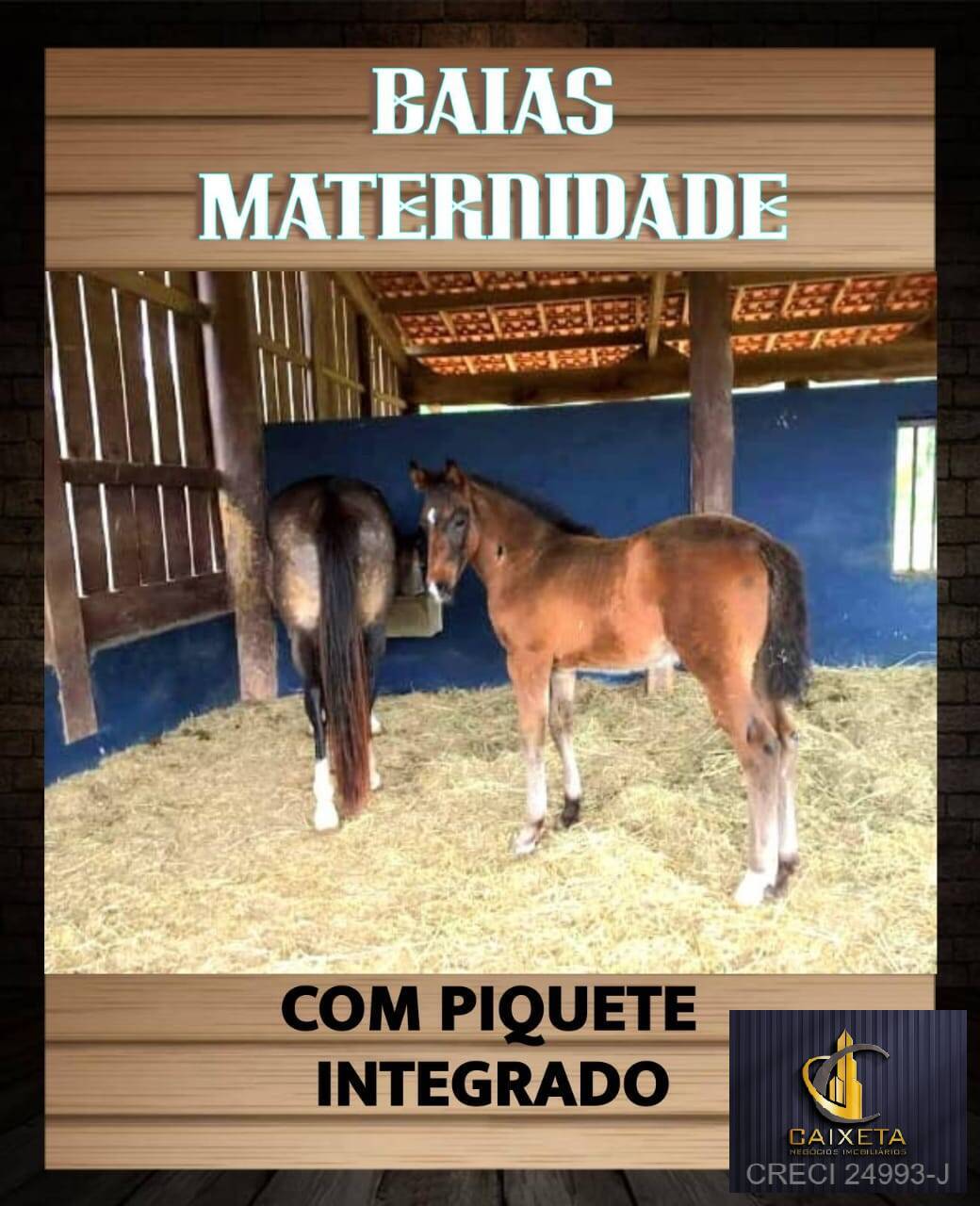 Haras para Venda em São Roque - 9