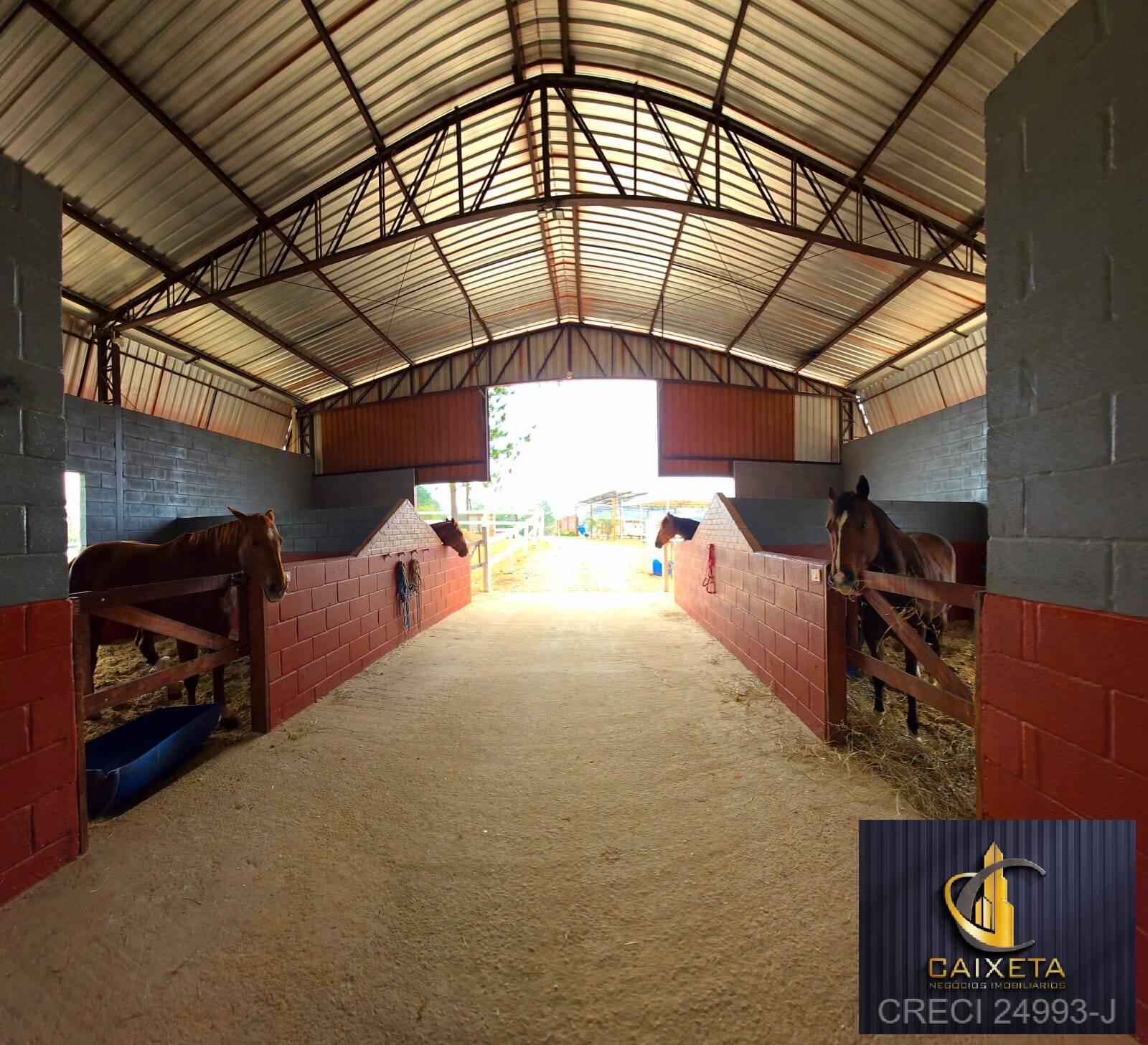 Haras para Venda em São Roque - 6